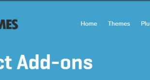 Woocommerce-Product-Add-ons2