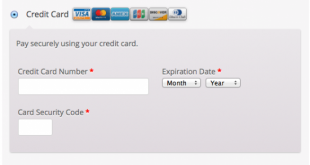 woocommerce-gateway-firstdata-payment-form-550x309-1