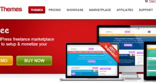 Appthemes-HireBee1