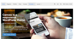 Canvas-WordPress-Theme-422x338-1