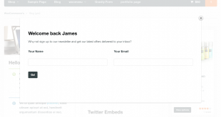 Screen-Shot-2013-04-30-at-12.49.42-620x3841
