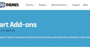 WooCommerce-Cart-Add-ons-1