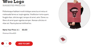 WooCommerce-Name-Your-Price-620x330