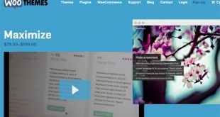 Woothemes-Maximize1