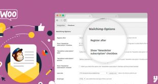 YITH-WooCommerce-Mailchimp-Premium-2